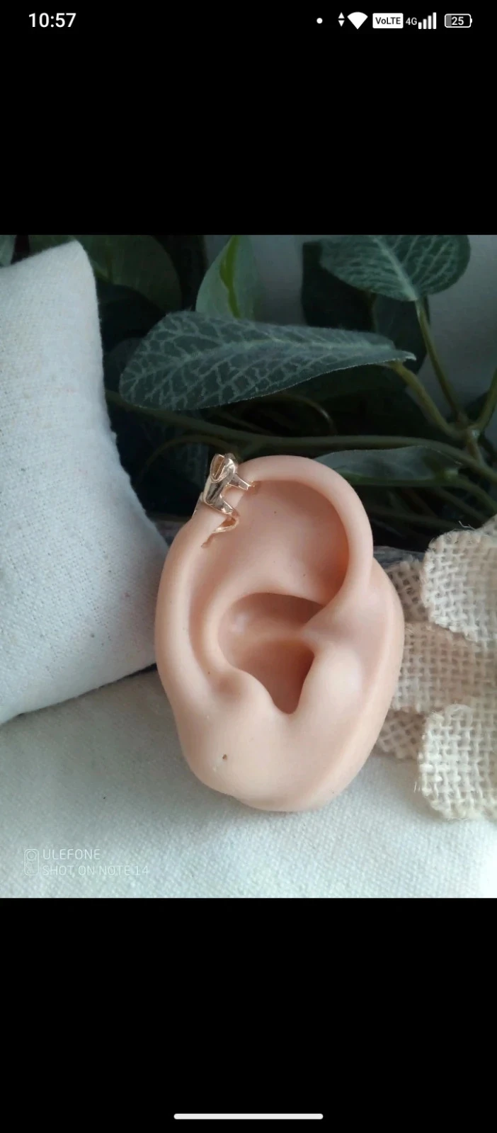 Clip oreja de rana dorada – photo 2